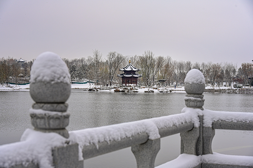 雄安新區(qū)容東片區(qū)園林雪景。胡忠攝