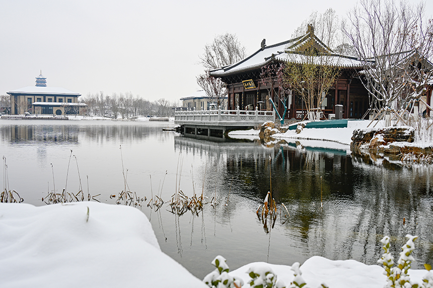 雄安新區(qū)容東片區(qū)園林雪景。胡忠攝